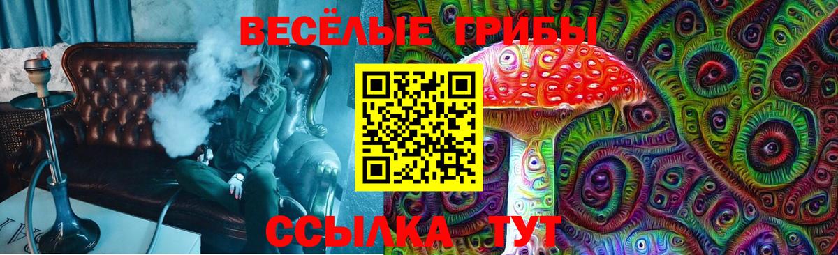 Галлюциногенные грибы Psilocybine cubensis  Псилоцибиновые грибы Magic Shrooms  Строитель  Вход с VPN 