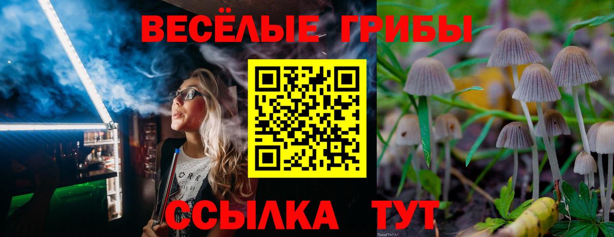 Галлюциногенные грибы прущие грибы Строитель